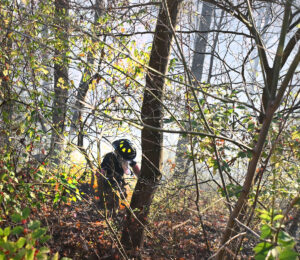 MFD: Whitemoore Park fire remains under investigation